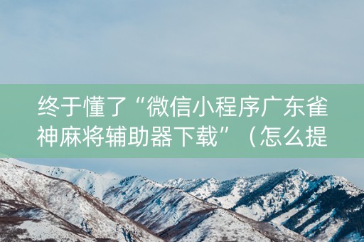 终于懂了“微信小程序广东雀神麻将辅助器下载”（怎么提高胜率)