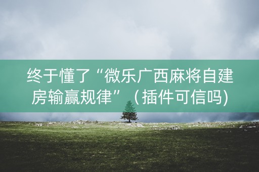 终于懂了“微乐广西麻将自建房输赢规律”（插件可信吗)