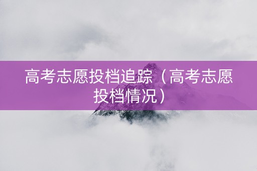 高考志愿投档追踪（高考志愿投档情况）