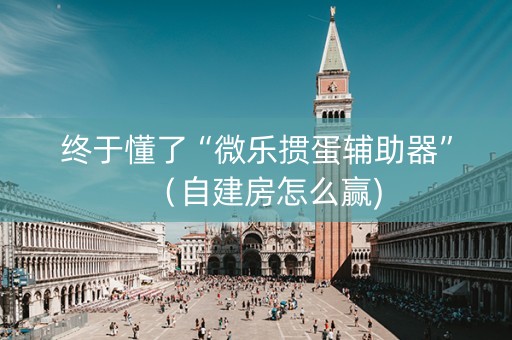终于懂了“微乐掼蛋辅助器”（自建房怎么赢)