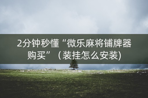 2分钟秒懂“微乐麻将铺牌器购买”（装挂怎么安装)
