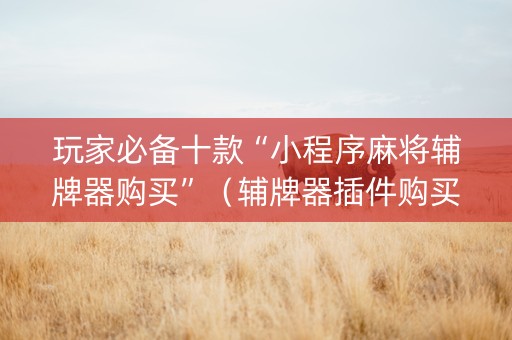 玩家必备十款“小程序麻将辅牌器购买”（辅牌器插件购买)
