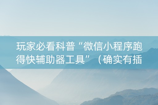 玩家必看科普“微信小程序跑得快辅助器工具”（确实有插件吗)