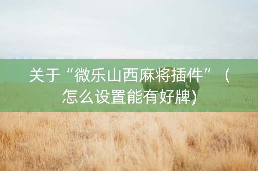 关于“微乐山西麻将插件”（怎么设置能有好牌)