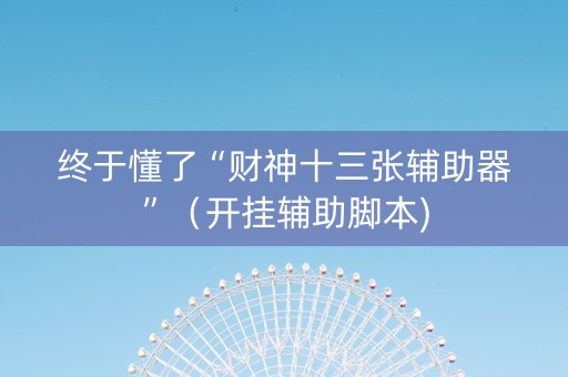 终于懂了“财神十三张辅助器”（开挂辅助脚本)