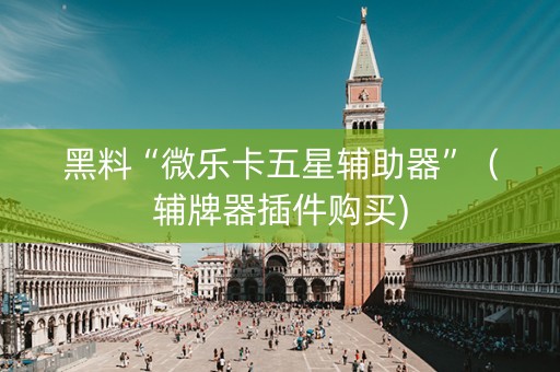 黑料“微乐卡五星辅助器”（辅牌器插件购买)