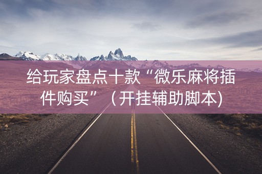 给玩家盘点十款“微乐麻将插件购买”（开挂辅助脚本)