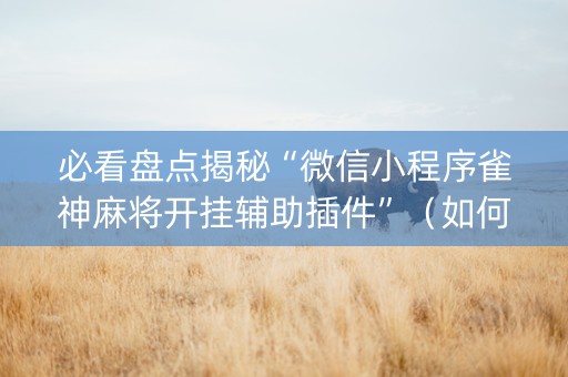 必看盘点揭秘“微信小程序雀神麻将开挂辅助插件”（如何提高胜率)