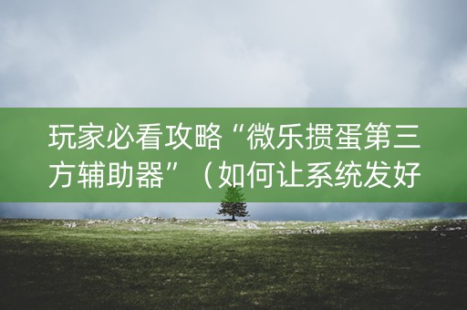 玩家必看攻略“微乐掼蛋第三方辅助器”（如何让系统发好牌)