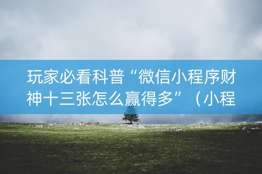 玩家必看科普“微信小程序财神十三张怎么赢得多”（小程序控牌器)