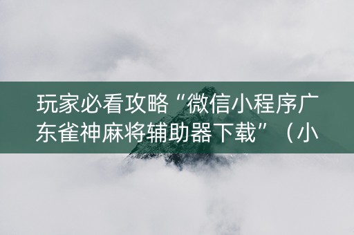 玩家必看攻略“微信小程序广东雀神麻将辅助器下载”（小程序必赢神器)
