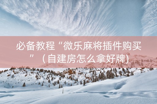 必备教程“微乐麻将插件购买”（自建房怎么拿好牌)