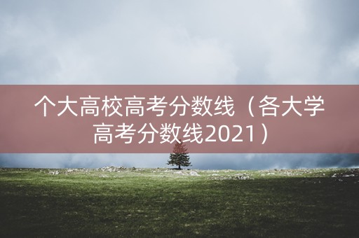 个大高校高考分数线（各大学高考分数线2021）