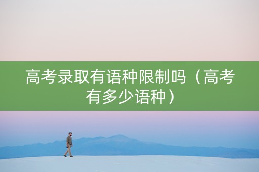 高考录取有语种限制吗（高考有多少语种）