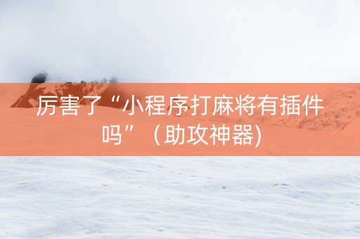 厉害了“小程序打麻将有插件吗”（助攻神器)