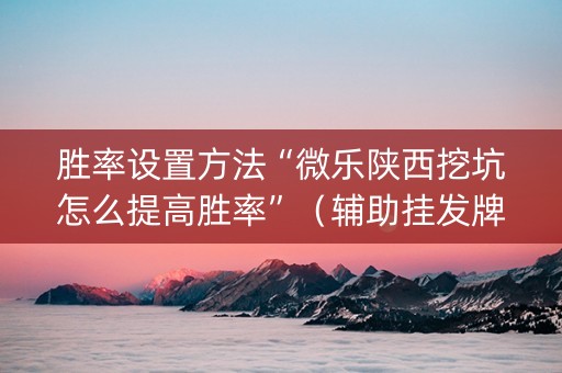 胜率设置方法“微乐陕西挖坑怎么提高胜率”（辅助挂发牌规律)