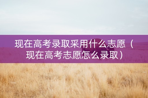 现在高考录取采用什么志愿（现在高考志愿怎么录取）