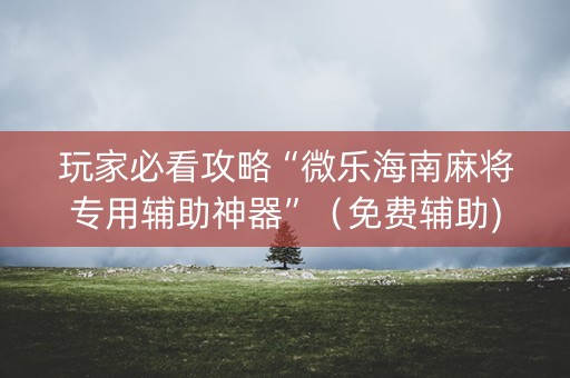 玩家必看攻略“微乐海南麻将专用辅助神器”（免费辅助)