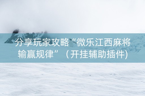 分享玩家攻略“微乐江西麻将输赢规律”（开挂辅助插件)