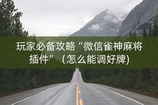 玩家必备攻略“微信雀神麻将插件”（怎么能调好牌)