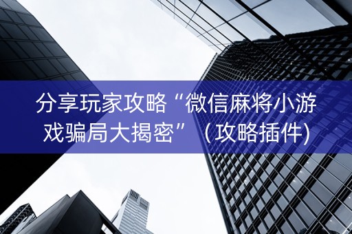 分享玩家攻略“微信麻将小游戏骗局大揭密”（攻略插件)