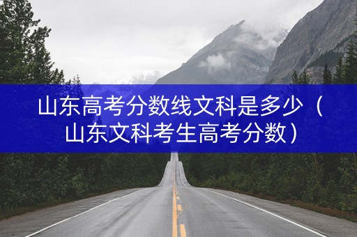 山东高考分数线文科是多少（山东文科考生高考分数）