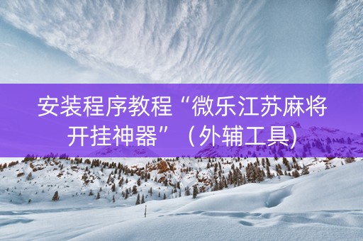 安装程序教程“微乐江苏麻将开挂神器”（外辅工具)