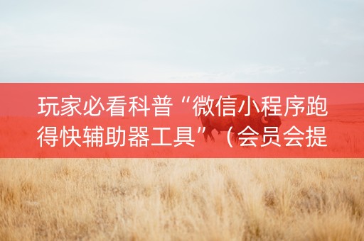 玩家必看科普“微信小程序跑得快辅助器工具”（会员会提高胜率吗)