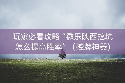 玩家必看攻略“微乐陕西挖坑怎么提高胜率”（控牌神器)