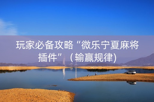 玩家必备攻略“微乐宁夏麻将插件”（输赢规律)