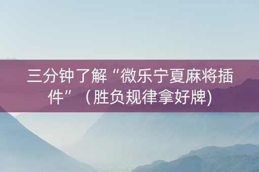 三分钟了解“微乐宁夏麻将插件”（胜负规律拿好牌)