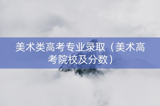 美术类高考专业录取（美术高考院校及分数）