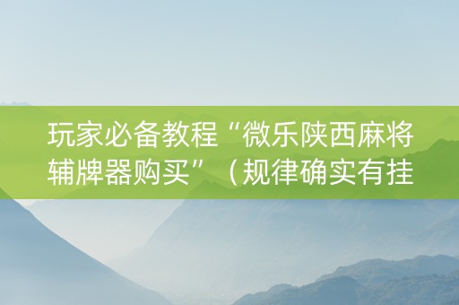 玩家必备教程“微乐陕西麻将辅牌器购买”（规律确实有挂)