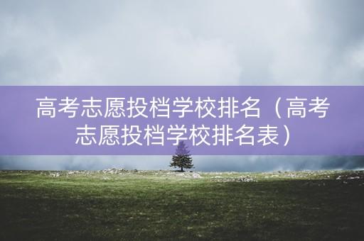 高考志愿投档学校排名（高考志愿投档学校排名表）