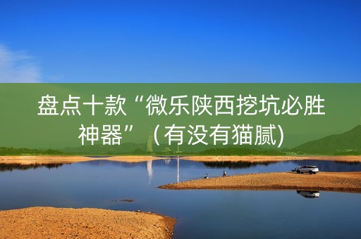 盘点十款“微乐陕西挖坑必胜神器”（有没有猫腻)