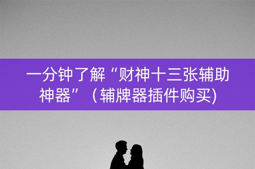 一分钟了解“财神十三张辅助神器”（辅牌器插件购买)