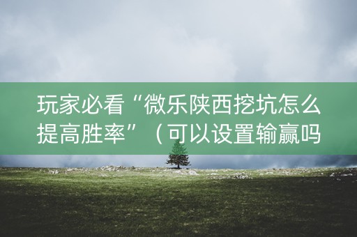 玩家必看“微乐陕西挖坑怎么提高胜率”（可以设置输赢吗)