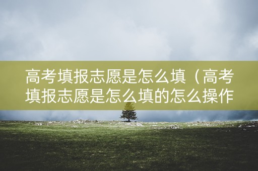 高考填报志愿是怎么填（高考填报志愿是怎么填的怎么操作的）