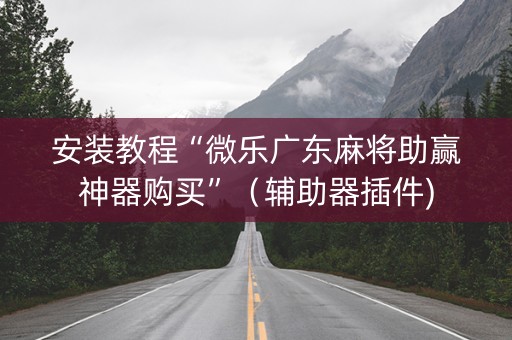 安装教程“微乐广东麻将助赢神器购买”（辅助器插件)