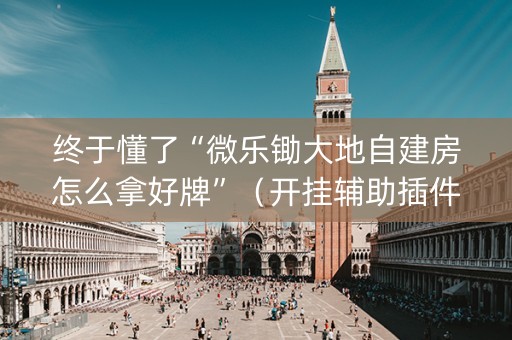 终于懂了“微乐锄大地自建房怎么拿好牌”（开挂辅助插件)