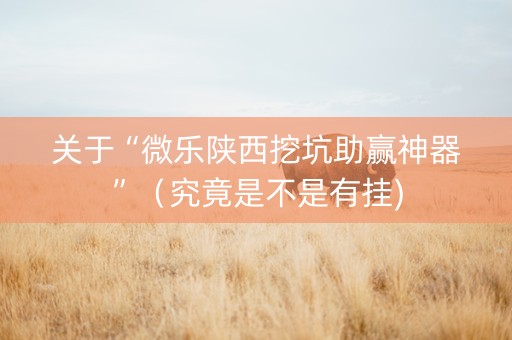 关于“微乐陕西挖坑助赢神器”（究竟是不是有挂)
