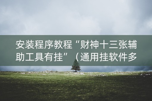 安装程序教程“财神十三张辅助工具有挂”（通用挂软件多少钱)