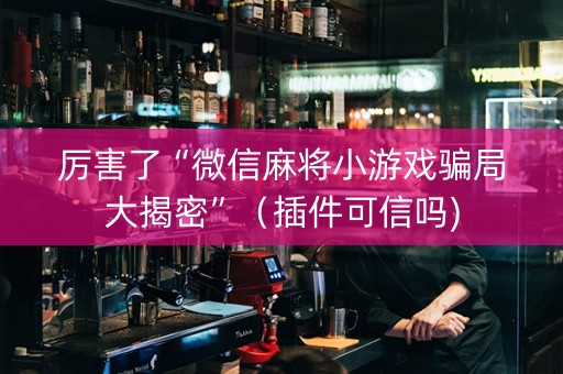 厉害了“微信麻将小游戏骗局大揭密”（插件可信吗)