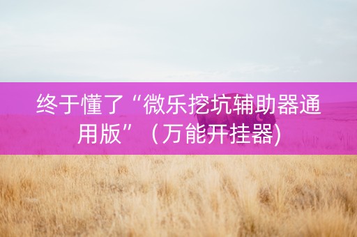 终于懂了“微乐挖坑辅助器通用版”（万能开挂器)
