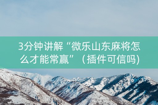 3分钟讲解“微乐山东麻将怎么才能常赢”（插件可信吗)