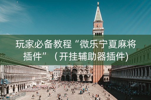 玩家必备教程“微乐宁夏麻将插件”（开挂辅助器插件)