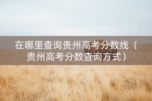 在哪里查询贵州高考分数线（贵州高考分数查询方式）