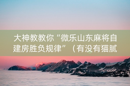 大神教教你“微乐山东麻将自建房胜负规律”（有没有猫腻)