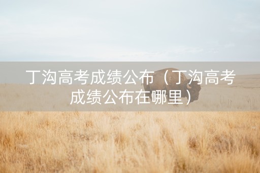 丁沟高考成绩公布（丁沟高考成绩公布在哪里）