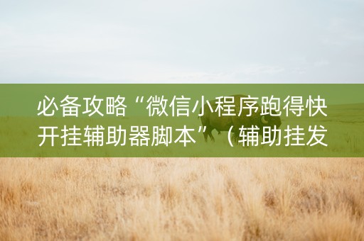 必备攻略“微信小程序跑得快开挂辅助器脚本”（辅助挂发牌规律)